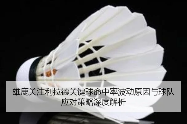 雄鹿关注利拉德关键球命中率波动原因与球队应对策略深度解析 | kaiyun